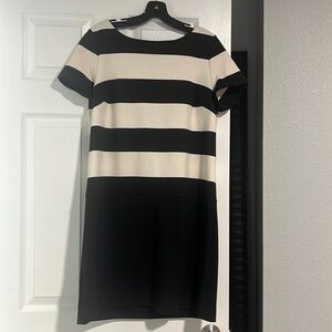 Ann Taylor Loft Petites - 12P